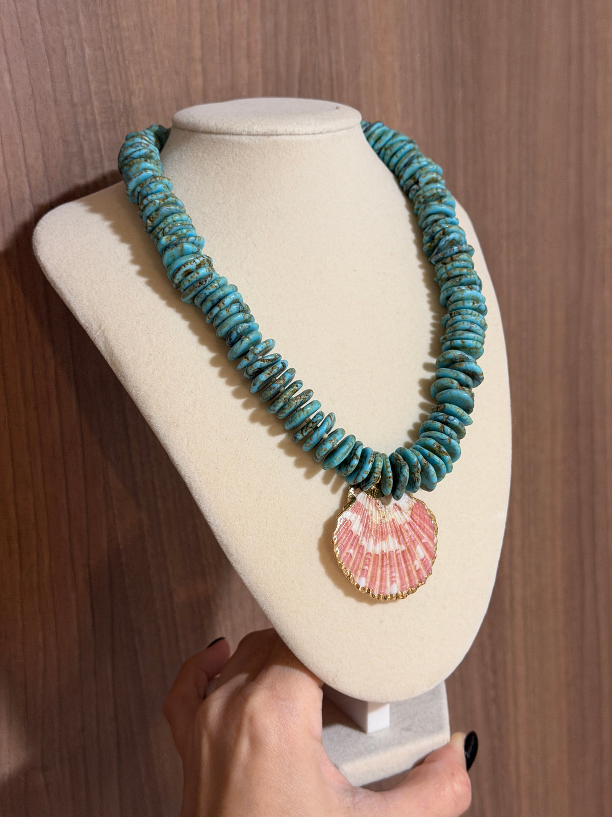 Seashell Horizons