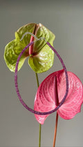 Royal Pink Necklace
