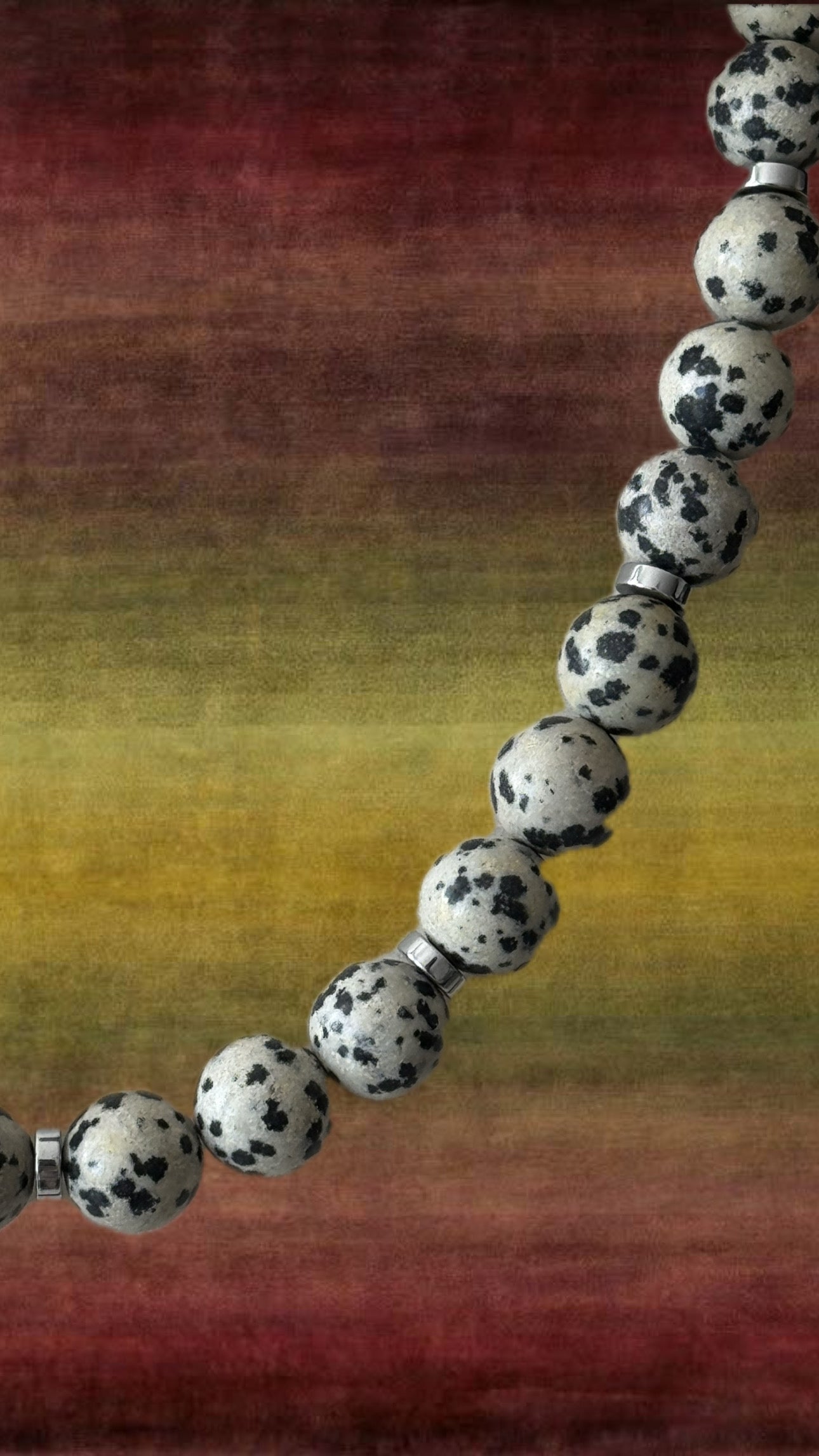 Dalmation Jasper Necklace